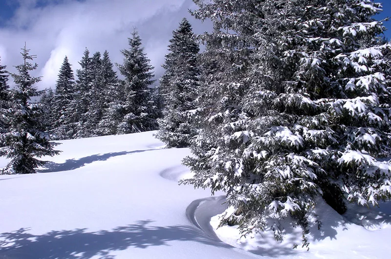 Schwarzwaldwinter im Menzenschwander Tal