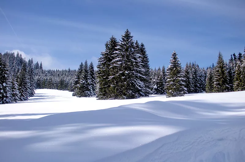 Winterwanderung über den Dachsberg