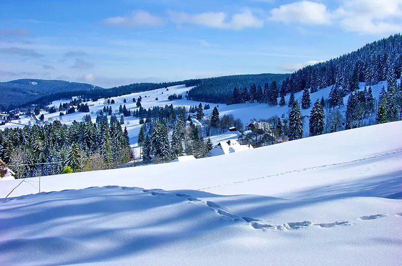 Winter auf dem Dachsberg