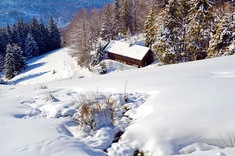 Winterlandschaft am Dachsberg