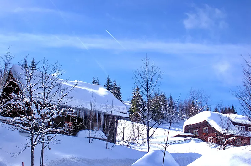 Winter in Neuglashütten