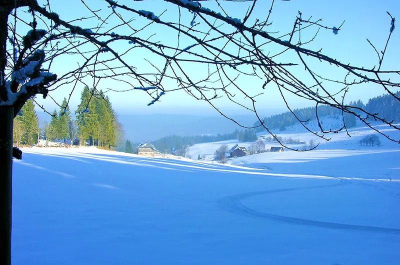 Blick auf Blasiwald