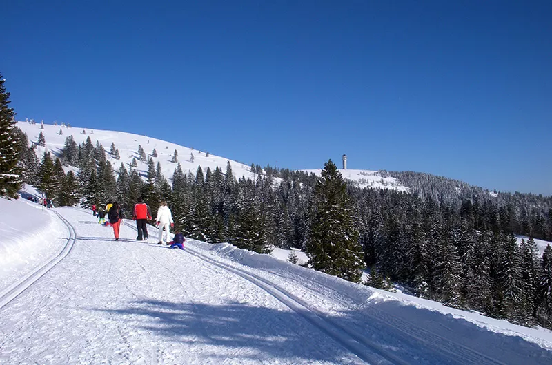 Feldberg Panormaweg