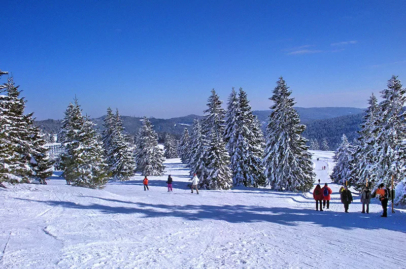 Winterwanderer am Feldberg