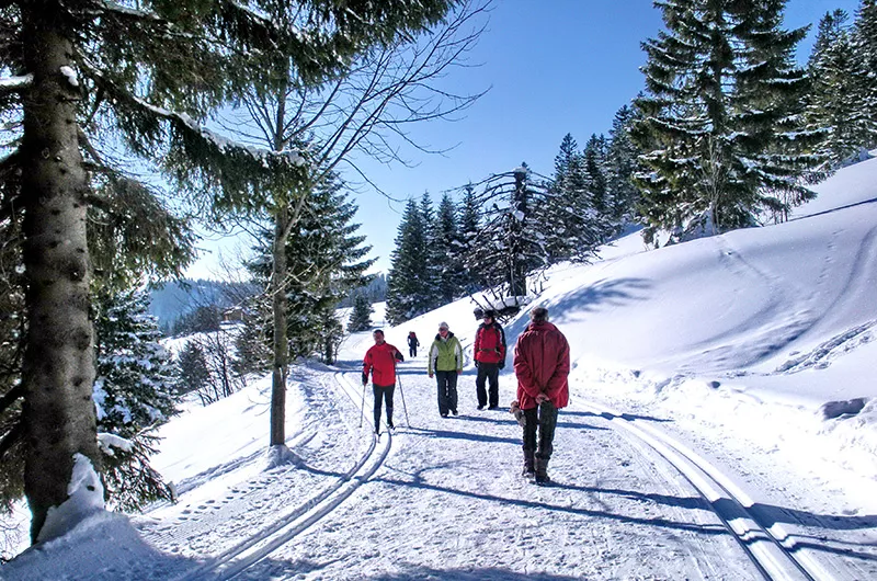 Winterwanderer auf dem Panoramaweg am Feldberg