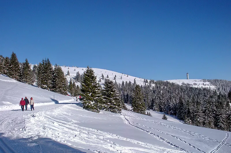 Winterwanderer auf dem Panoramweg am Feldberg