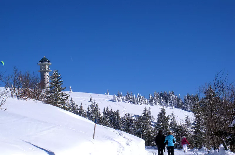 Panoramaweg zur Todtnauer Hütte