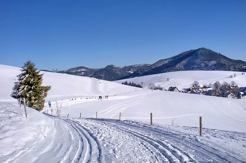 Winterwanderweg in Herrenschwand