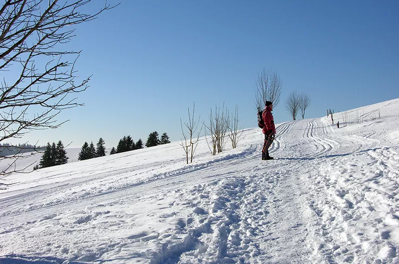 Schneeschuhtour Herrenschwand – Holz