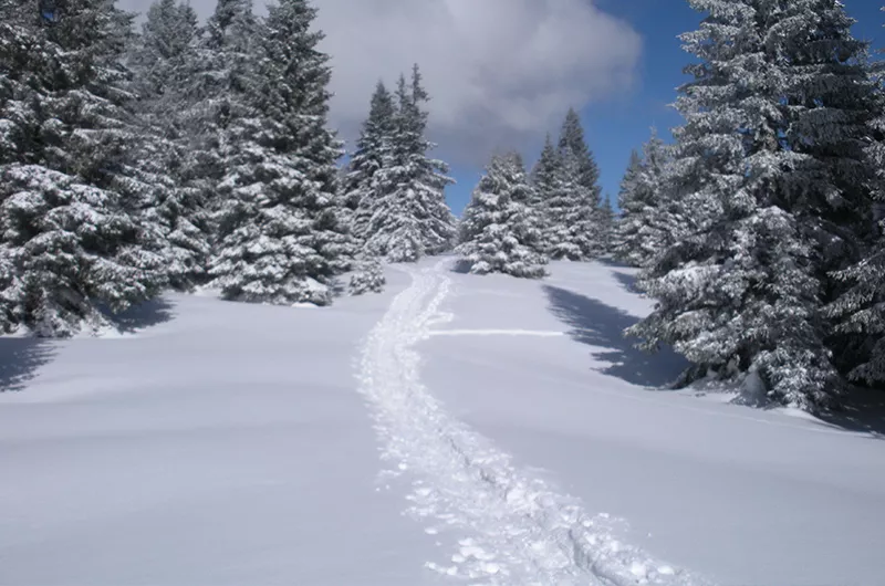 Grafenmatt-Schneeschuhspur