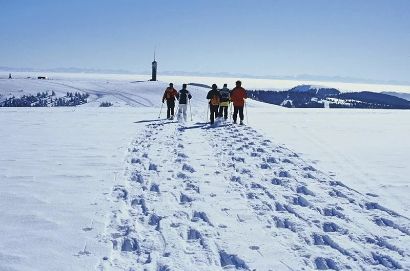 Schneeschuhtrails Feldberg