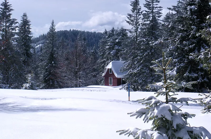 Winterwunderwelt am Feldberg