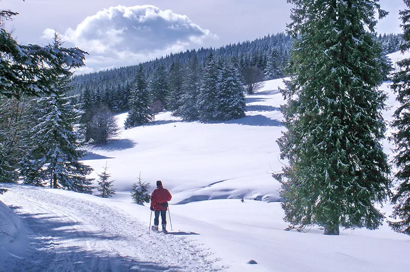 Schneeschuhwandern im Todtnauer Ferienland