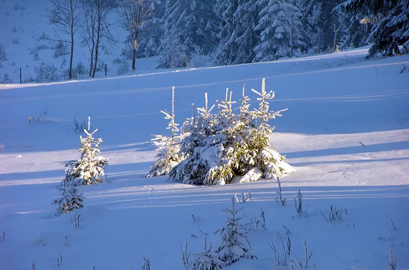 Bernauer Winterlandschaft