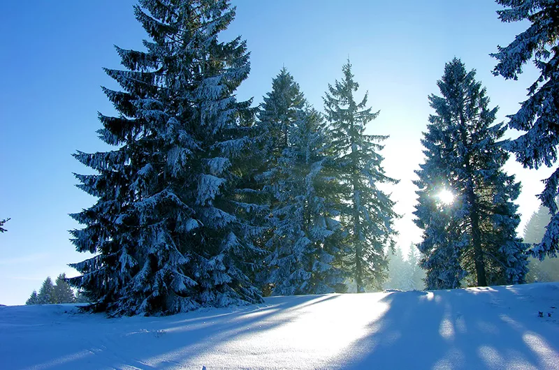 Winter im Bernauer Tal