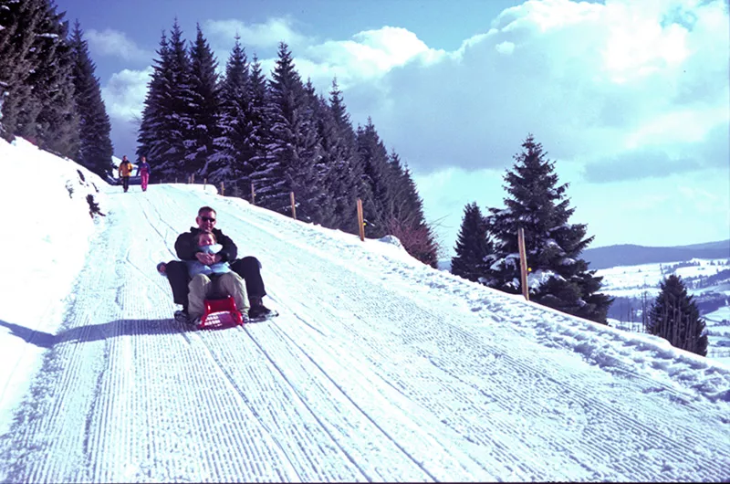 Rodelstrecke Krunkelbachhütte - Bernau Dorf