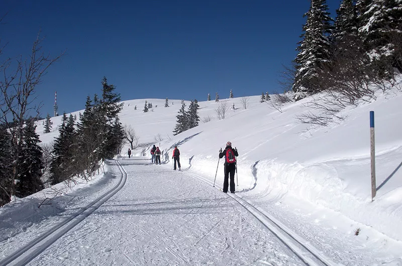 Winter-Panoramaweg am Feldberg