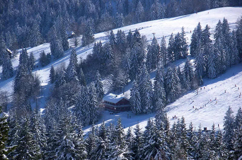 Blick vom Panoramaweg Feldberg