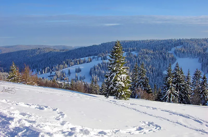 Blick vom Panoramaweg Winter am Feldberg