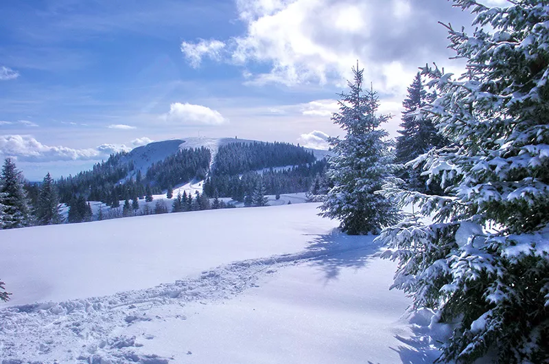 Herzogenhornblick Feldberg