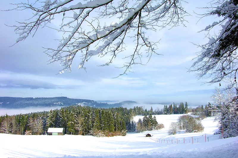 Blick auf den Rodelhang Höchenschwand