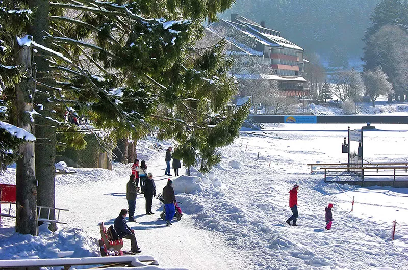 Winter- und Rodelspaß Lenzkirch-Saig – an den Titisee