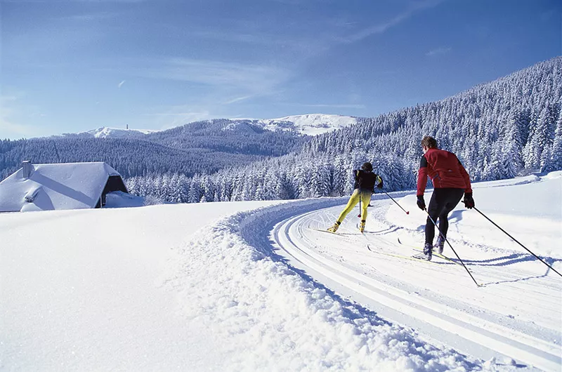 Langlauf mit Schwarzwald-Panorama