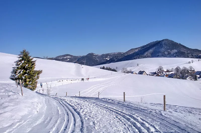 Schwarzwald – ein Langlaufparadies