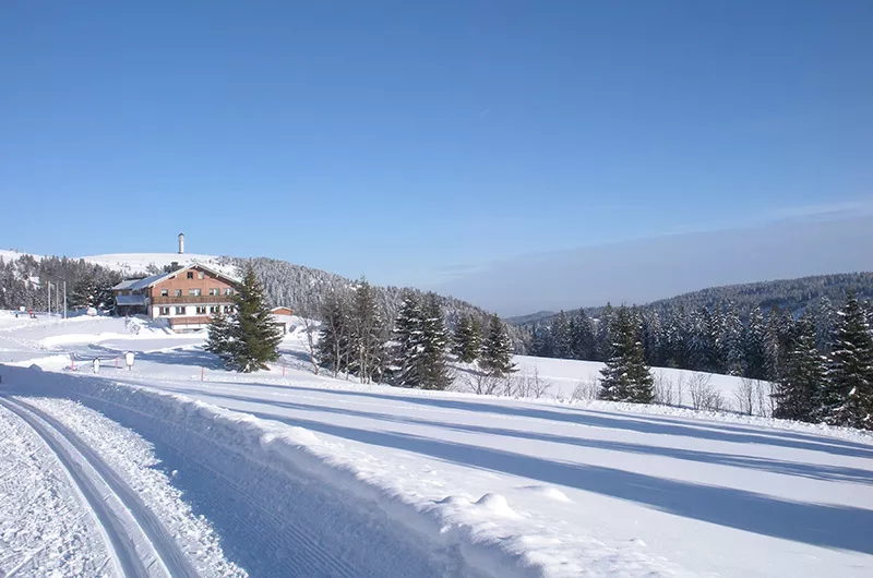 Stübenwasenloipe mit Ziel Todtnauer Hütte