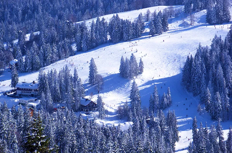 Feldbergpiste