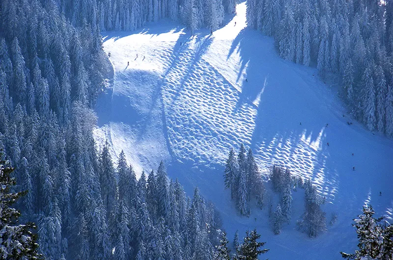 Feldberg Buckelpiste