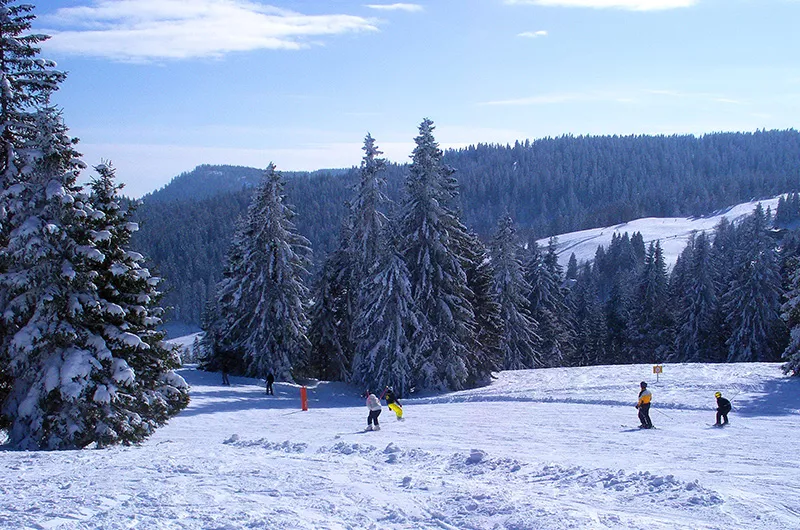 Skifahrer am Feldberg