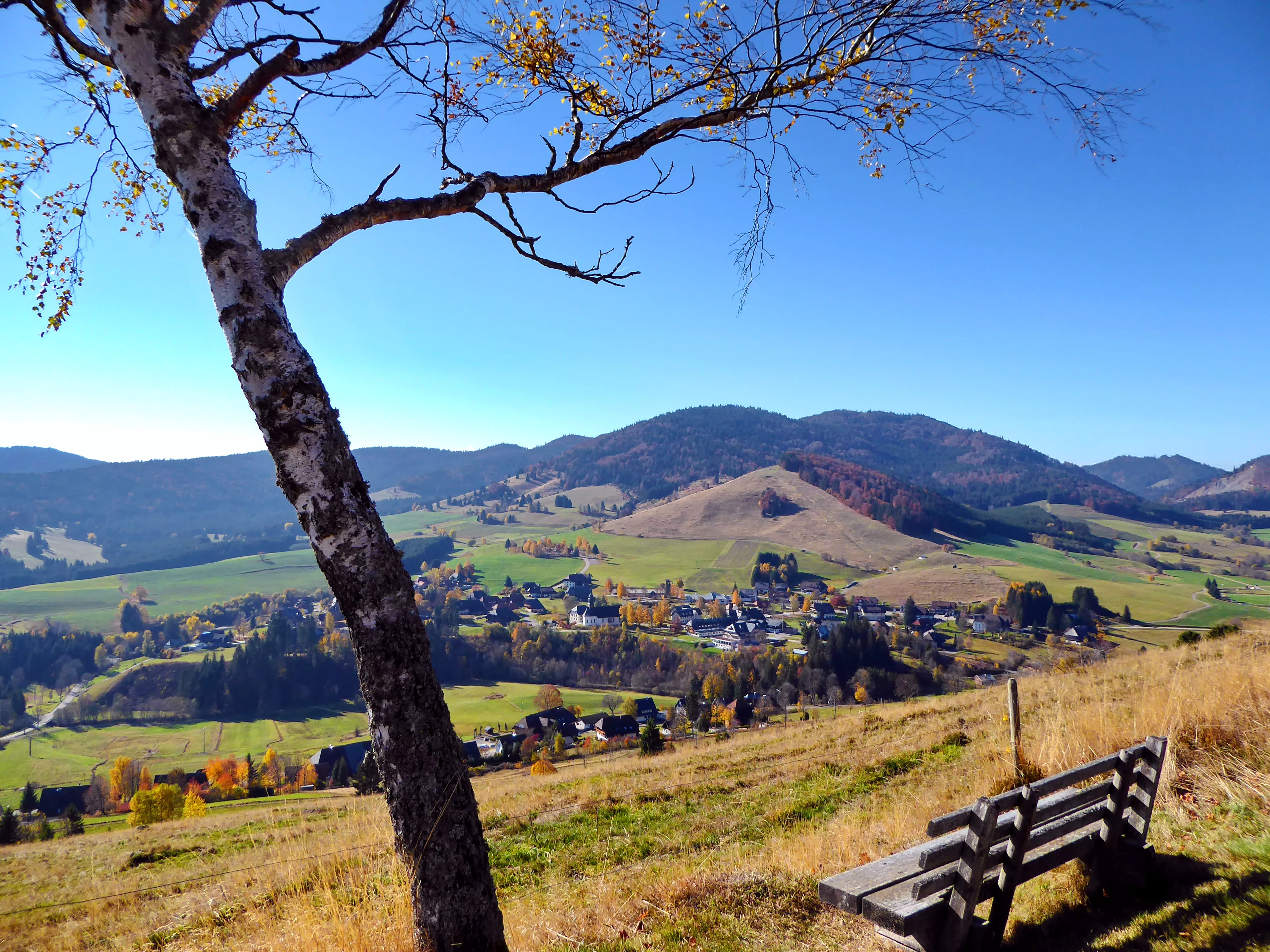 Blick auf Bernau