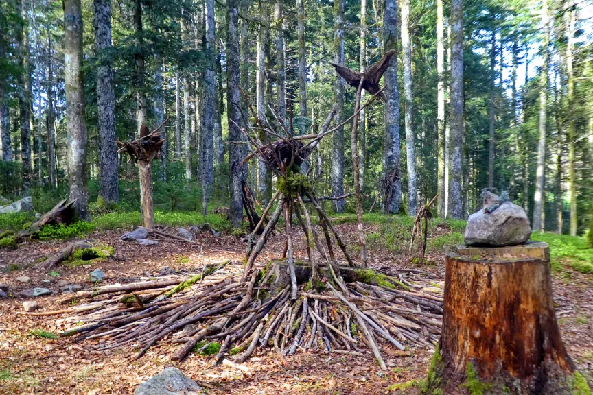 Erlebnisstation auf dem Wandelpfad