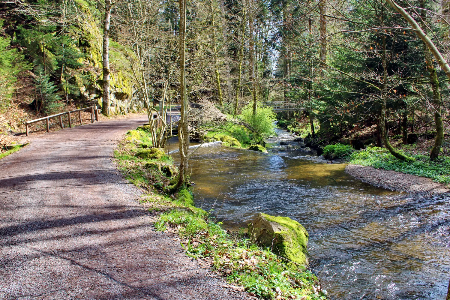 Waldkugelpfad an der Schlücht