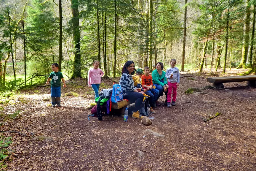 Waldkugelpfad Pausenbank