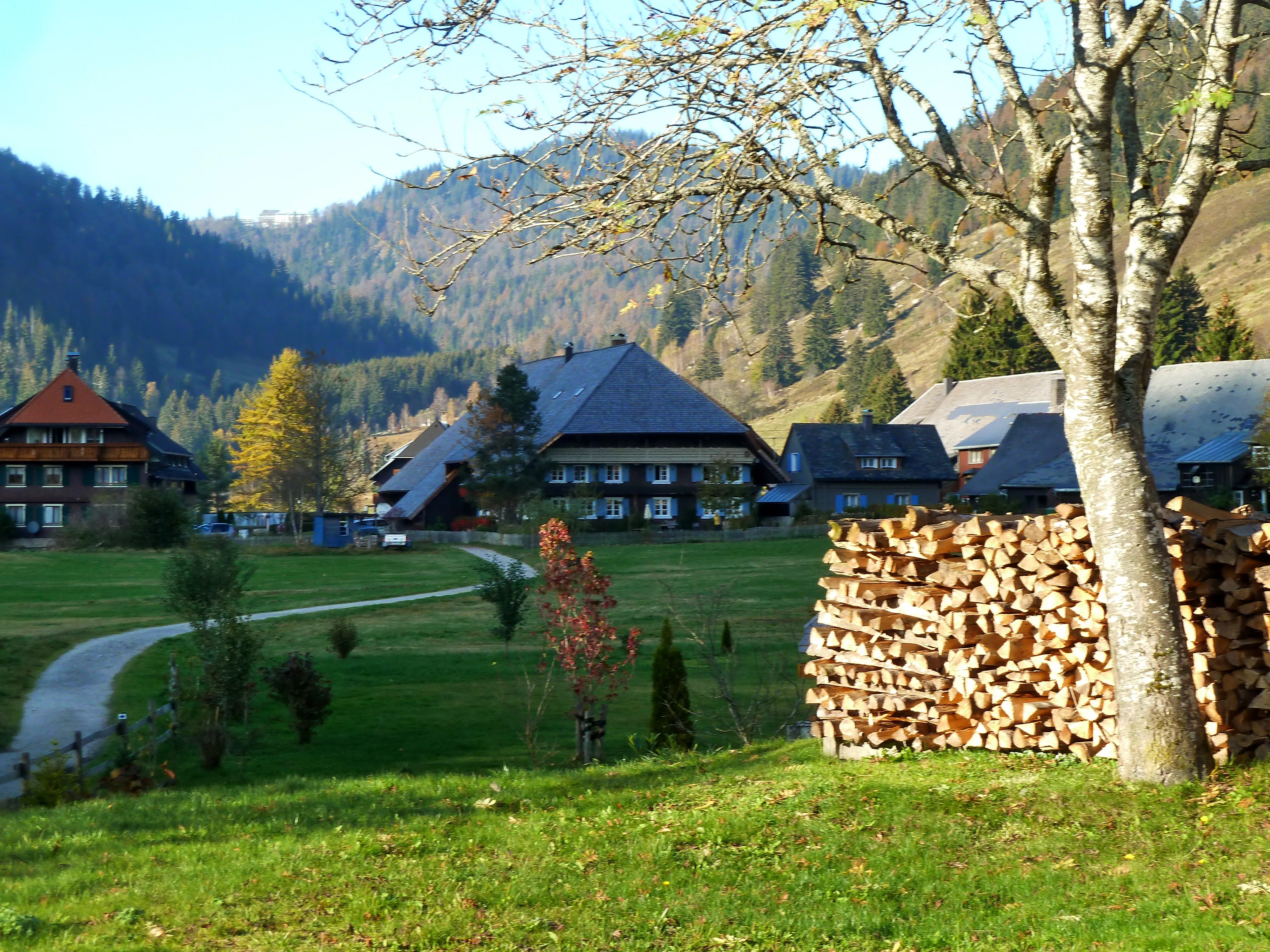 Menzenschwand Hinterdorf