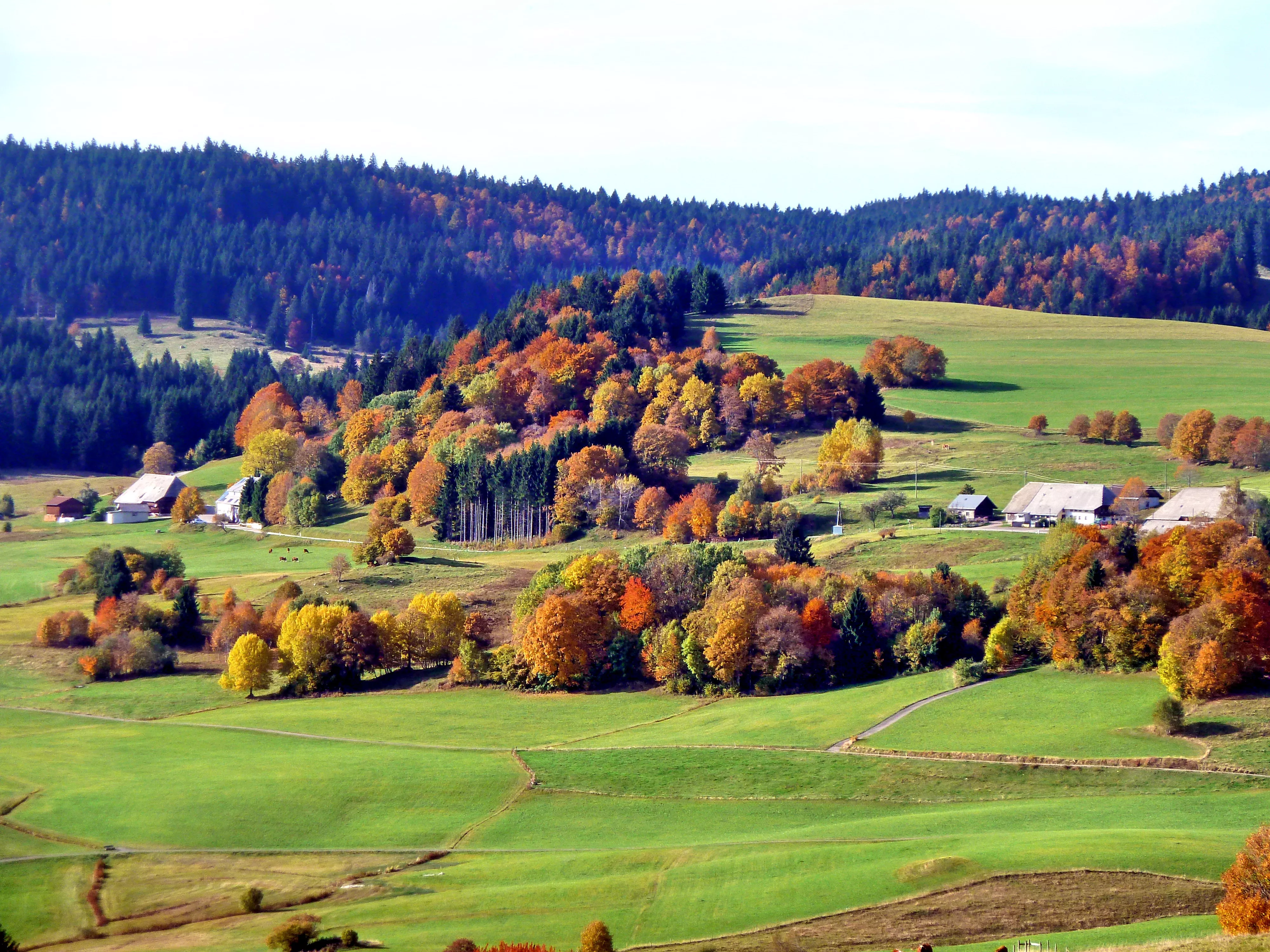 Blick auf das Ibacher Hochtal