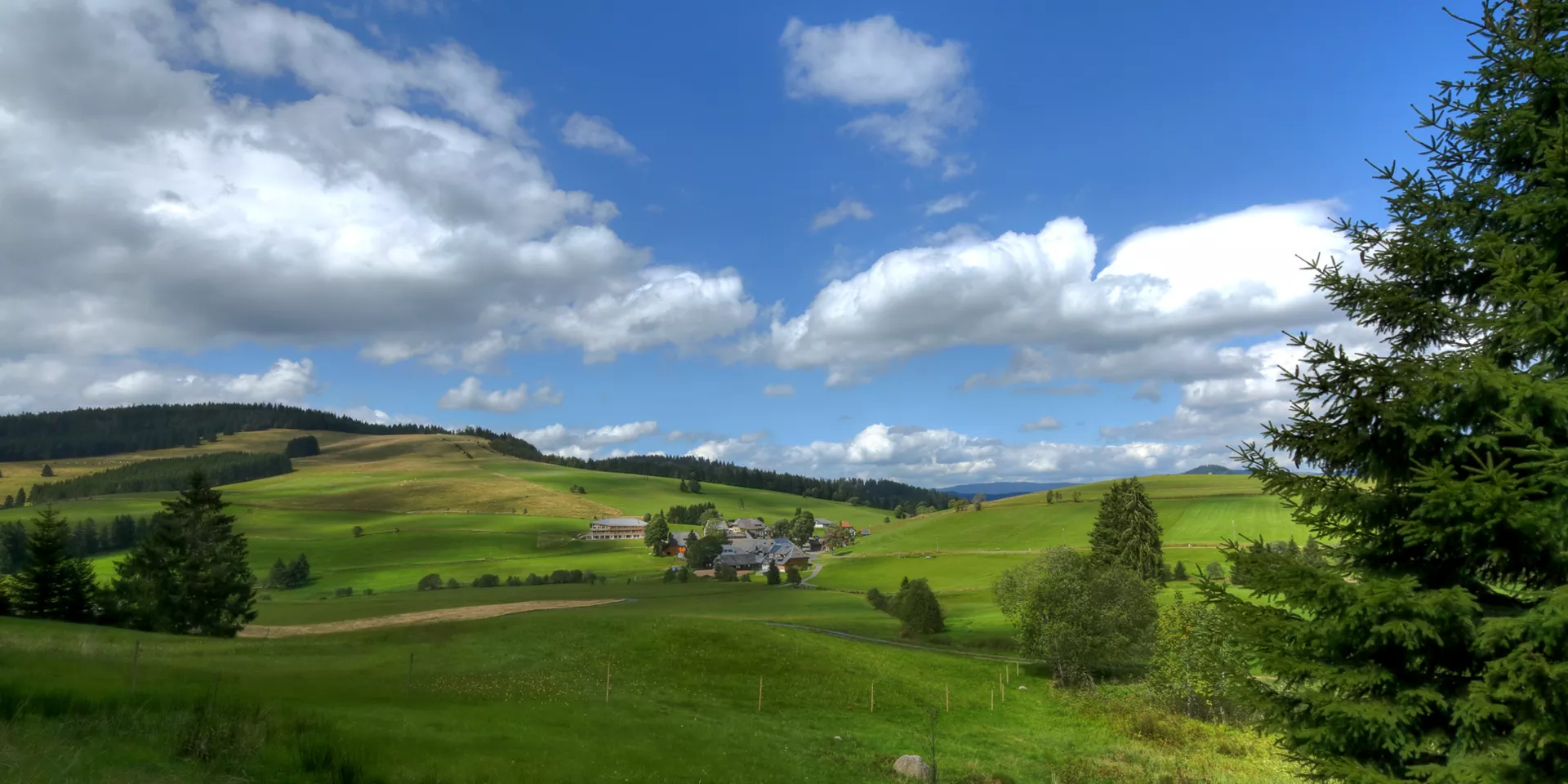 Herrenschwand Sommer