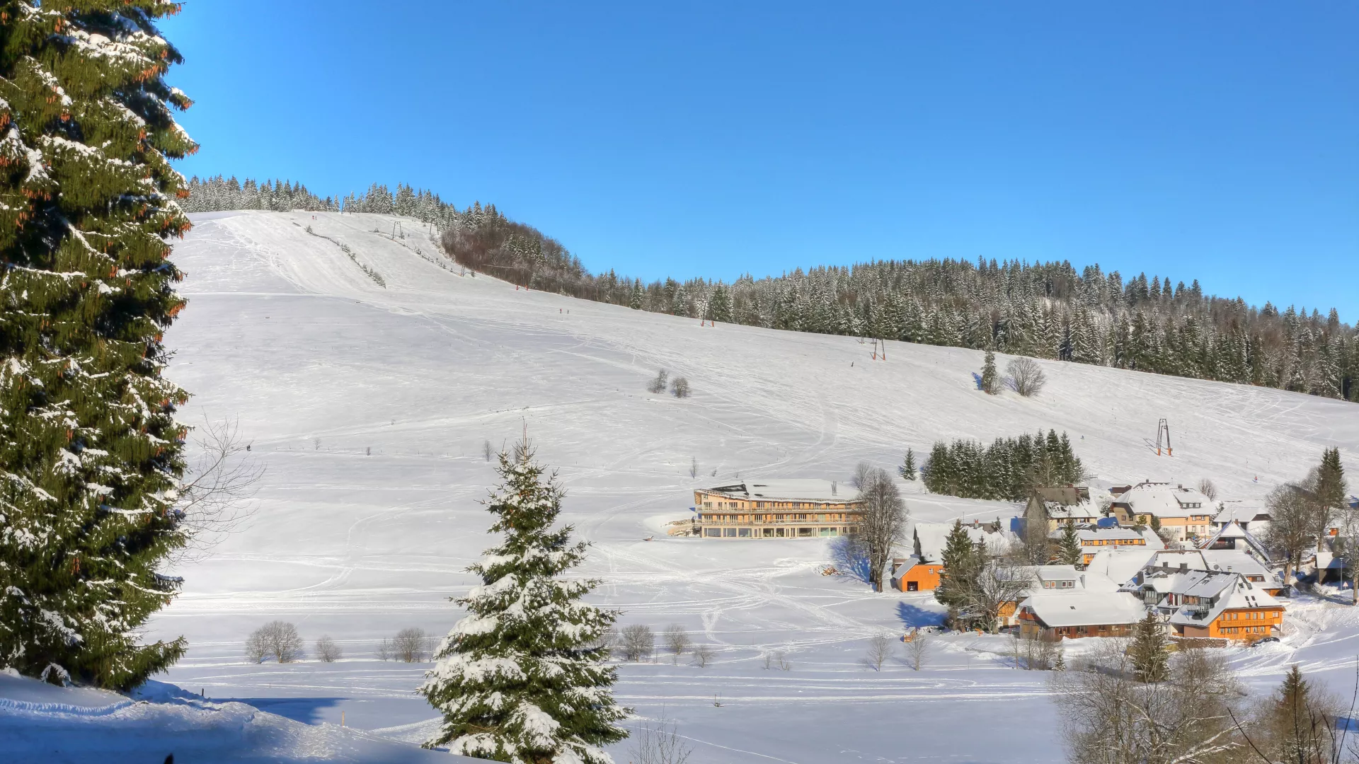 Herrenschwand Winter