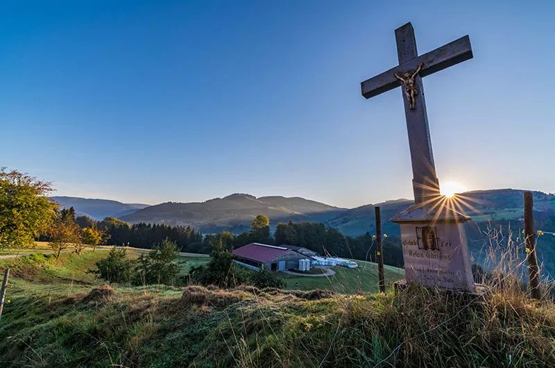 Morgenstimmung auf dem Land