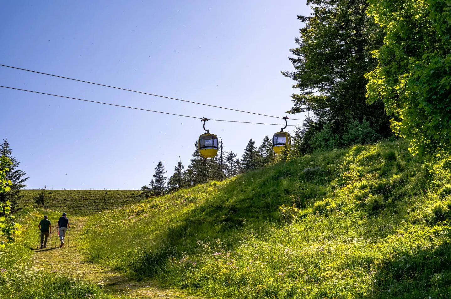 Mit der Gondel auf den Belchengipfel schweben 