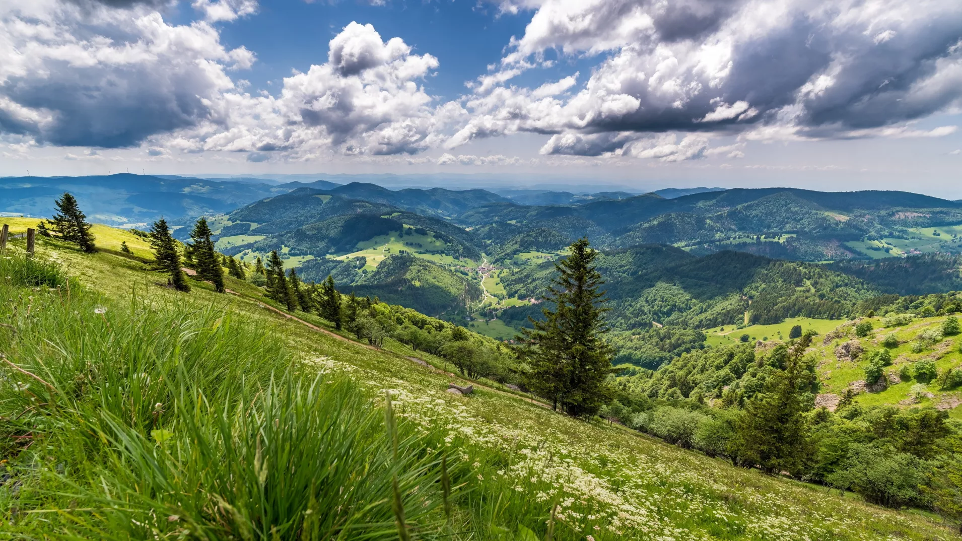 Blick vom Belchen
