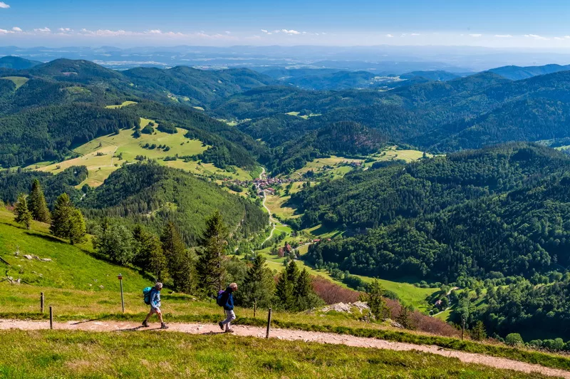 Wandern auf dem Belchensteig