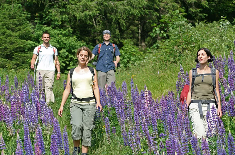 Wandern im Frühling