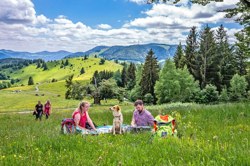 Schwarzwaldregion Belchen