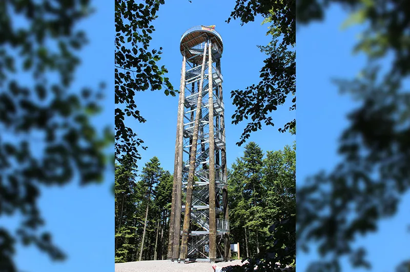 Haslach Aussichtsturm Urenkopfturm