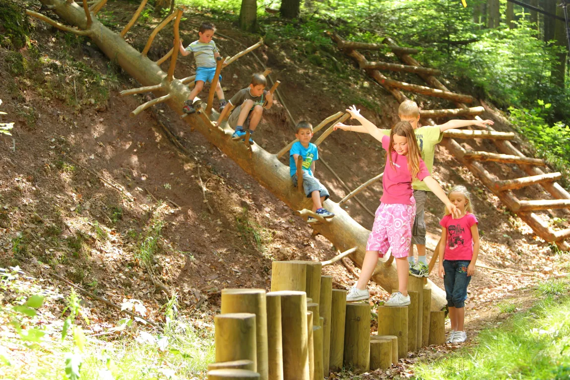 Haslacher Waldu Erlebnispfad