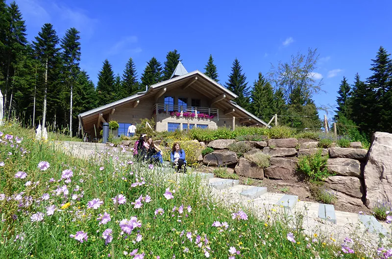 Aussichtsreiches Wanderziel – Berghütte Lauterbad Freudenstadt