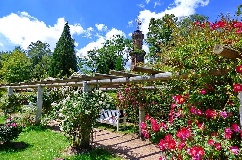 Rosenweg Freudenstadt